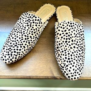 Leopard print summer sandals